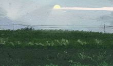 海百合12星座塔罗牌运势（2018/7/28）