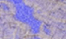 塔罗占卜一周运势(7.16-7.22)