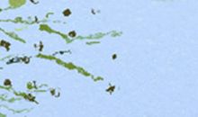 塔罗占卜一周运势（9.24-9.30）