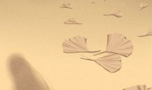 海百合12星座塔罗牌运势（2017/11/9）