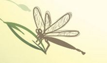 塔罗占卜每周运势(4.29-5.5)