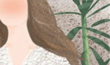 塔罗占卜每周运势(4.22-4.28)