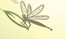 塔罗占卜五月运势