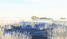 海百合12星座塔罗牌运势（2018/6/12）