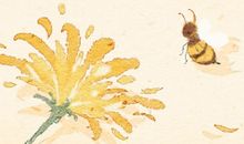 梦见家里来一窝蜜蜂什么意思