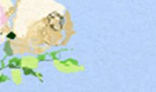 占卜你是个恋家的人么？