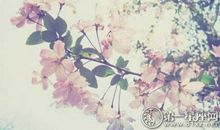 海百合12星座塔罗牌运势（2017/10/27）