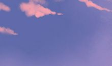 海百合12星座塔罗牌周运（8.14-8.20）