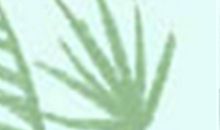 明月塔罗占卜每周周运（4.8-4.14）