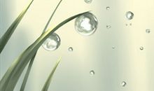 海百合12星座塔罗牌运势（2017/8/13）