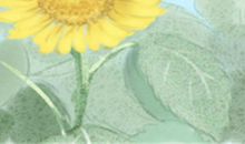 塔罗占卜：你何时才能够脱单？