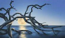 周易算命起名测算