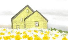 塔罗占卜如何减肥能成功？