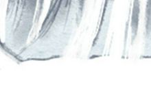 四月你会遇到啥方面的贵人