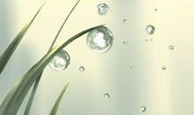 神叨酱12星座塔罗牌运势（2017/8/3）