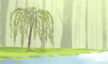 哪个洋娃娃最可爱 测你容易被花言巧语利用吗