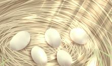 女人梦见锅里煮鸡蛋预示着什么