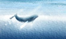 测你与未来伴侣属于哪种组合