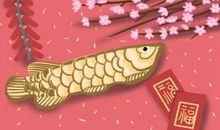 女孩出生好的6个日子是哪些