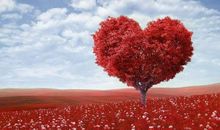 处女座今日运势2015年9月27日