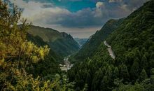 唐立淇周末运势6.11-6.12