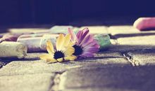 唐绮阳/唐立淇:今日运势2018年4月30日