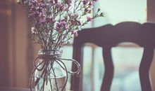 猫石对话每日运势2018年7月22日