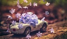 闹闹女巫店:今日运势2018年4月30日