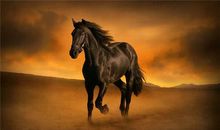 运势君今日运势2018年7月10日