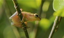 海百合今日运势2018年7月10日