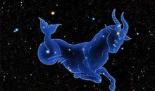 摩羯座今日运势2016年12月12日