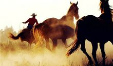 保加利亚嘉珊今日运势2018年7月10日