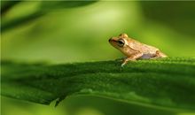 诡魅塔罗今日运势2018年7月10日