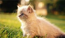 YAO叔今日运势2018年7月10日