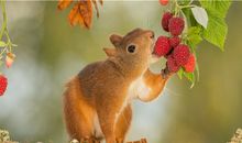 诡魅塔罗今日运势2018年7月9日