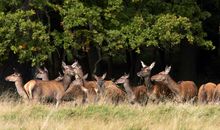 保加利亚嘉珊今日运势2018年7月9日