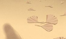 生辰八字查五行缺失算命