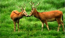 海百合今日运势2018年7月9日