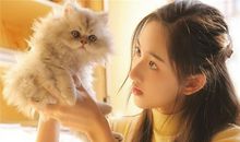 猫石对话每日运势2018年7月7日