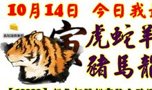 天秤座今日运势2015年10月22日