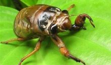 保加利亚嘉珊今日运势2018年7月12日