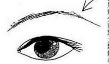 黄薄眉面相图解