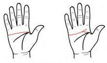 感情线止于食指手相图解