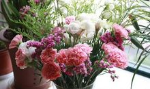 猫石对话:每日运势2018年4月29日