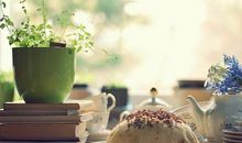 苏珊米勒:今日运势2018年4月29日