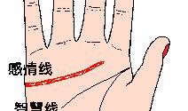 智慧线和感情线相连的手相图解