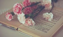 诡魅塔罗今日运势2018年4月12日