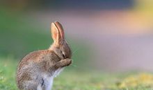 海百合今日运势2018年7月11日