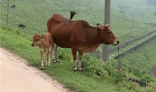 海百合今日运势2018年7月2日