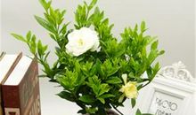 YAO叔:今日运势2018年6月10日